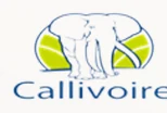 Callivoire